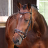 Briglia da dressage con capezzina francese Elite Shires Velociti Lusso - Avana
