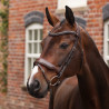 Briglia da dressage con museruola francese Opus 180M Shires Velociti Lusso - Avana