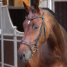 Briglia ergonomica con capezzina francese Elite Shires Velociti Lusso - Avana