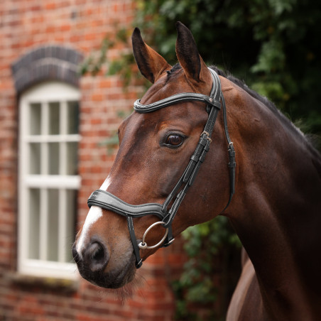 Briglia ergonomica con noseband francese Opus 180M Shires Velociti Lusso