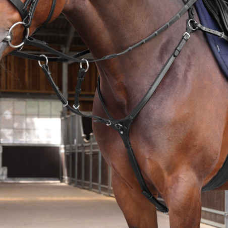 Pettorale a contatto ravvicinato Elite Shires Velociti Lusso