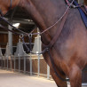Pettorale elastico Elite Shires Velociti Lusso - Avana