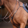 Pettorale elastico Shires Velociti Rapida - Avana