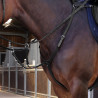 Pettorale Elite Shires Velociti Lusso - Nero