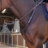 Pettorale Elite Shires Velociti Lusso - Avana