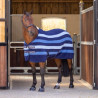 Coperta in pile Newmarket Original Shires Tempest - Blu