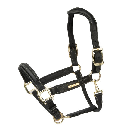 Capezza in pelle Comfort Shires Velociti Rapida