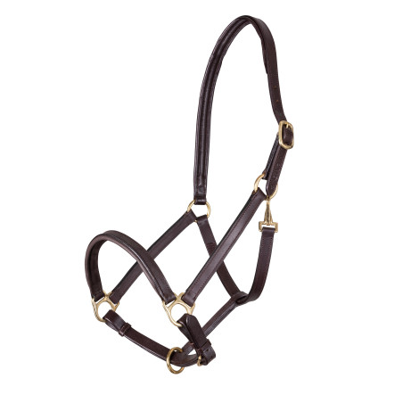 Capezzina in cuoio foderata Ragley Shires Velociti Gara