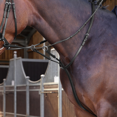 Martingala con anelli Elite Shires Velociti Lusso