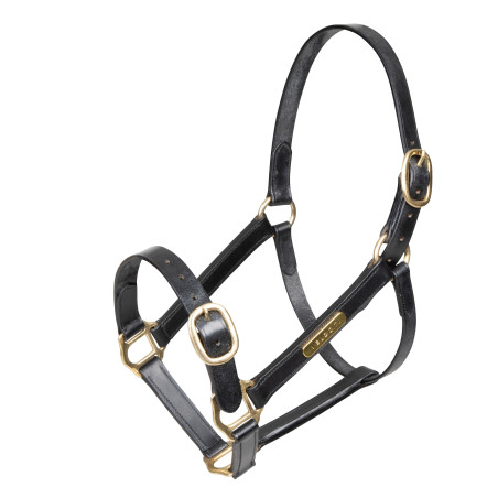 Capezza in cuoio completamente regolabile Shires Velociti Gara