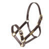 Capezza in cuoio completamente regolabile Shires Velociti Gara - Avana