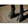 Paraglomi Cool&dry Equithème Fresh - Nero
