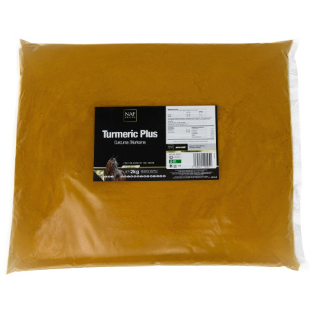 Polvere di Curcuma Plus NAF