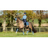 Sottosella LeMieux Loire Dressage Square - Blu ghiaccio