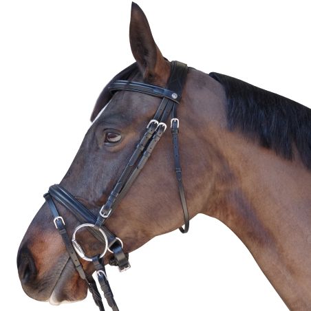 Bridon Pull Back Euro Canter
