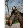 Capezza Norton Dream - Verde scuro