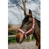 Capezza Norton Dream - Rosa