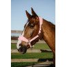 Capezza Equithème Breeze - Rosa
