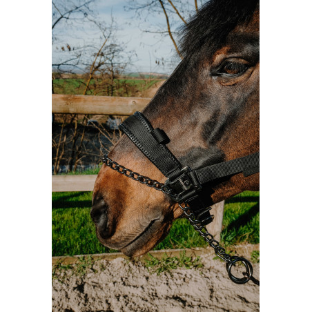 Capezza Equithème Control
