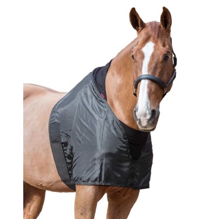 Protezione per spalle Lemieux