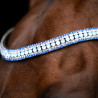 Fronte Imperial Riding Maxima - Azzurro chiaro