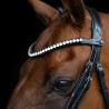 Fronte Imperial Riding Maxima - Grafite