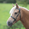 Briglia da presentazione liscia Shires Velociti Gara - Marrone