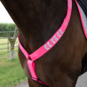 Collare da caccia Shires Equi-Flector® - Rosa brillante