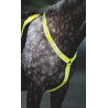 Collare da caccia Shires Equi-Flector® - Giallo brillante