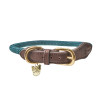 Collare in corda sottile Shires Digby & Fox - Verde