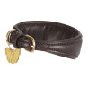 Collare imbottito per levriero Shires Digby & Fox - Marrone