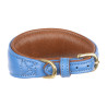 Collare imbottito per levriero Shires Digby & Fox - Reale