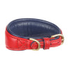 Collare imbottito per levriero Shires Digby & Fox - Scarlatto