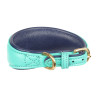 Collare imbottito per levriero Shires Digby & Fox - Verde petrolio