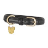 Collare per cane in pelle trapuntata Shires Digby & Fox - Nero