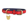 Collare per cane in pelle trapuntata Shires Digby & Fox - Scarlatto