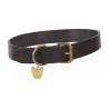 Collare per cane in cuoio piatto Shires Digby & Fox - Marrone