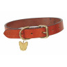 Collare per cane in cuoio piatto Shires Digby & Fox - Fulvo