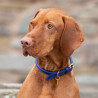 Collare per cane in cuoio tondo Shires Digby & Fox - Reale