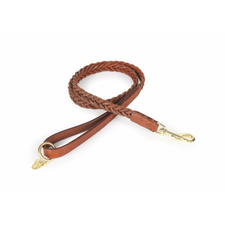 Guinzaglio intrecciato per cani Shires Digby & Fox