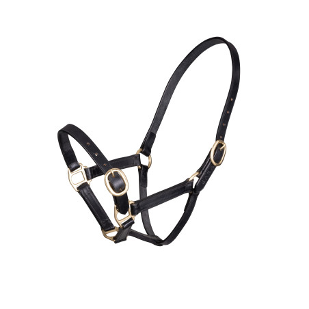 Capezzina in cuoio regolabile Shires Velociti Gara