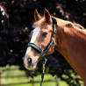 Capezza e lunghina con logo Shires Arma - Verde