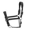 Capezzina imbottita Pro Shires Arma - Blu