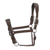 Capezzina imbottita Pro Shires Arma - Marrone