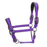 Capezzina imbottita Pro Shires Arma - Viola