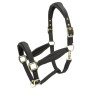 Capestro imbottito Shires Arma - Nero