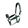 Capestro imbottito Shires Arma - Verde