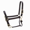 Capezza regolabile Premium Shires Arma - Nero