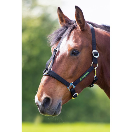 Capezza Shires Greenguard