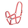 Capezza Shires Wessex - Rosso / argento